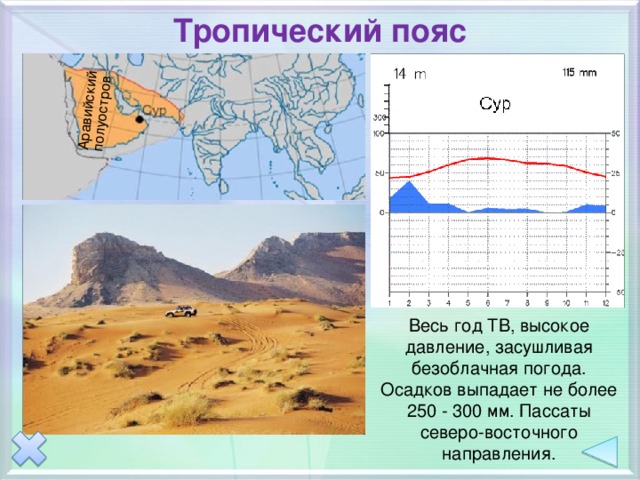 Тропический пояс Аравийский полуостров Весь год ТВ, высокое давление, засушливая безоблачная погода. За год осадков выпадает не более 250 — 300 мм . Пассаты северо-восточного направления Весь год ТВ, высокое давление, засушливая безоблачная погода. Осадков выпадает не более 250 - 300 мм. Пассаты северо-восточного направления.  