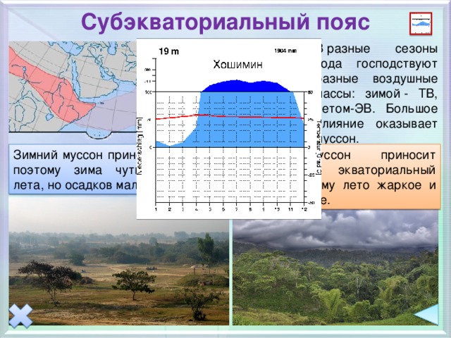 Субэкваториальный пояс В разные сезоны года господствуют разные воздушные массы: зимой - ТВ, летом-ЭВ. Большое влияние оказывает муссон. Зимний муссон приносит сухой ТВ, поэтому зима чуть прохладнее лета, но осадков мало. Летний муссон приносит влажный экваториальный воздух, поэтому лето жаркое и очень влажное.  
