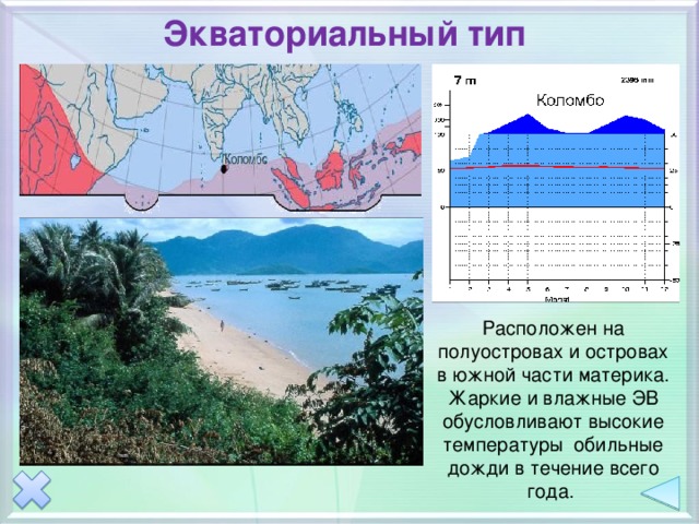 Экваториальный тип Расположен на полуостровах и островах в южной части материка. Жаркие и влажные ЭВ обусловливают высокие температуры обильные дожди в течение всего года. 