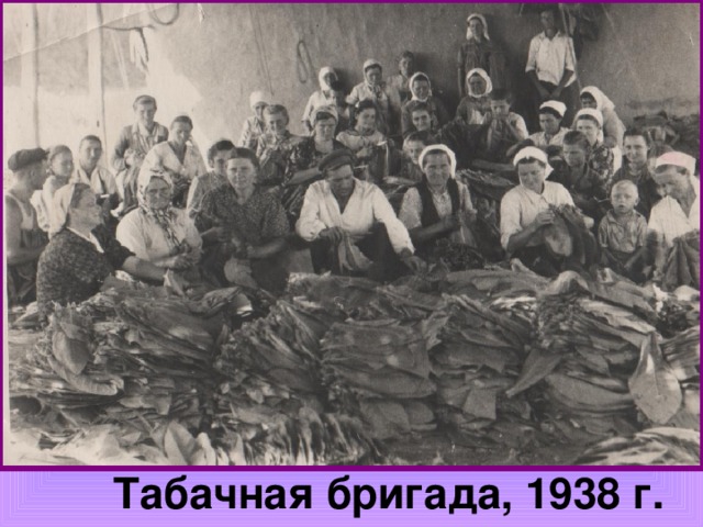Табачная бригада, 1938 г. 