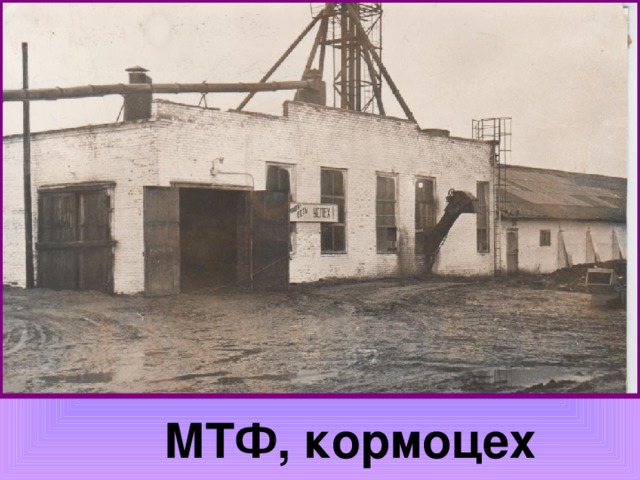 МТФ, кормоцех 