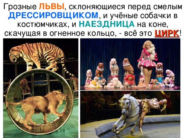ЛЬВЫ ДРЕССИРОВЩИКОМ НАЕЗДНИЦА ЦИРК 