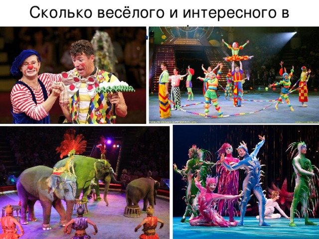 Сколько весёлого и интересного в цирке ! 