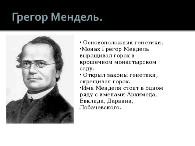  Основоположник генетики. Монах Грегор Мендель выращивал горох в крошечном монастырском саду.  Открыл законы генетики, скрещивая горох. Имя Менделя  стоит в одном ряду с именами Архимеда, Евклида, Дарвина, Лобачевского. 