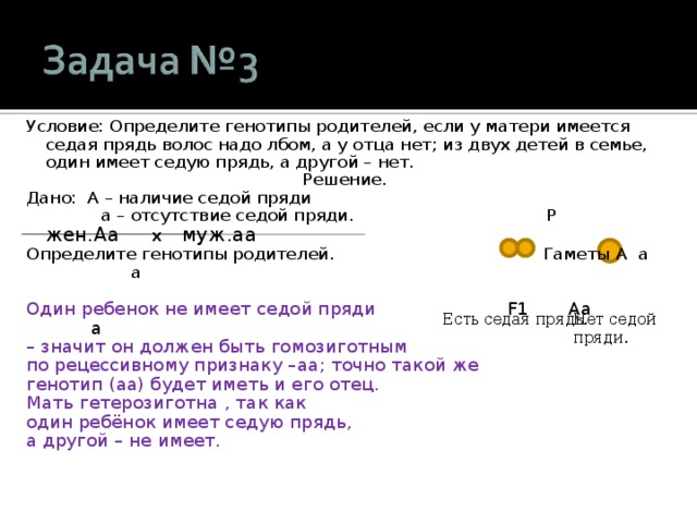 Условие: Определите генотипы родителей, если у матери имеется седая прядь волос надо лбом, а у отца нет ; из двух детей в семье, один имеет седую прядь, а другой – нет. Решение. Дано: A – наличие седой пряди  a – отсутствие седой пряди.   P жен. Aa x муж. aa Определите генотипы родителей.  Гаметы A a a Один ребенок не имеет седой пряди  F1 Aa a – значит он должен быть гомозиготным по рецессивному признаку – aa; точно такой же генотип ( aa) будет иметь и его отец. Мать гетерозиготна , так как один ребёнок имеет седую прядь, а другой – не имеет. Есть седая прядь. Нет седой пряди. 