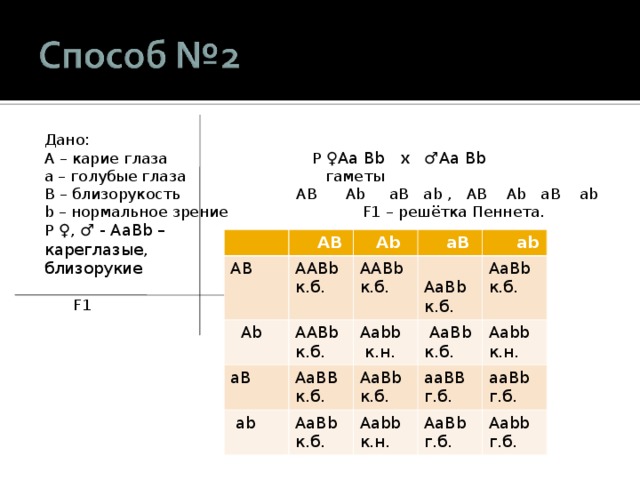 Дано:  A – карие глаза P ♀ Aa Bb х   ♂ Aa Bb a – голубые глаза  гаметы B – близорукость AB Ab aB ab , AB Ab aB ab b – нормальное зрение F1 – решётка Пеннета.  P ♀ , ♂ - AaBb – кареглазые, близорукие  F1 AB  AB  Ab  Ab AABb к.б. aB AABb к.б. AABb к.б.  aB  AaBb к.б.  ab AaBB к.б. Aabb  к.н.  ab  AaBb к.б. AaBb к.б. AaBb к.б. AaBb к.б. Aabb к.н. aaBB г.б. Aabb к.н. aaBb г.б. AaBb г.б. Aabb г.б. 