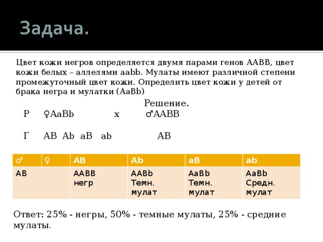 Цвет кожи негров определяется двумя парами генов AABB , цвет кожи белых – аллелями aabb . Мулаты имеют различной степени промежуточный цвет кожи. Определить цвет кожи у детей от брака негра и мулатки ( AaBb) Решение. P ♀ AaBb x ♂ AABB Г AB Ab aB ab AB ♂ AB ♀ AB Ab AABB негр aB AABb Темн. мулат AaBb Темн. мулат ab AaBb Средн. мулат Ответ: 25% - негры, 50% - темные мулаты, 25% - средние мулаты . 