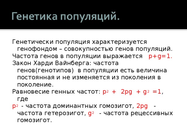 Генетически популяция характеризуется генофондом – совокупностью генов популяций. Частота генов в популяции выражается p+g=1. Закон Харди Вайнберга: частота генов(генотипов) в популяции есть величина постоянная и не изменяется из поколения в поколение. Равновесие генных частот: p 2 + 2pg + g 2   =1 , где p 2  - частота доминантных гомозигот, 2pg  - частота гетерозигот, g 2   - частота рецессивных гомозигот. 