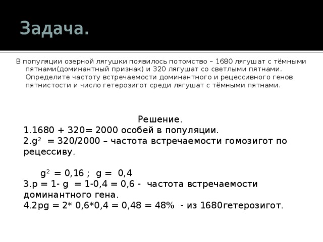 В популяции озерной лягушки появилось потомство – 1680 лягушат с тёмными пятнами(доминантный признак) и 320 лягушат со светлыми пятнами. Определите частоту встречаемости доминантного и рецессивного генов пятнистости и число гетерозигот среди лягушат с тёмными пятнами. Решение. 1680 + 320= 2000 особей в популяции. g 2 = 320/2000 – частота встречаемости гомозигот по рецессиву.   g 2  = 0,16 ; g =  0,4 p = 1- g = 1-0,4 = 0,6 - частота встречаемости доминантного гена. 2 pg = 2* 0 ,6*0,4 = 0,48 = 48% - из 1680гетерозигот. 