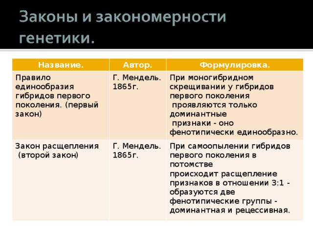 Название. Автор. Правило единообразия гибридов первого поколения. (первый закон) Формулировка. Г. Мендель. 1865г. Закон расщепления  (второй закон) Г. Мендель. 1865г. При моногибридном скрещивании у гибридов первого поколения  проявляются только доминантные  признаки - оно фенотипически единообразно. При самоопылении гибридов первого поколения в потомстве происходит расщепление признаков в отношении 3:1 - образуются две фенотипические группы - доминантная и рецессивная. 
