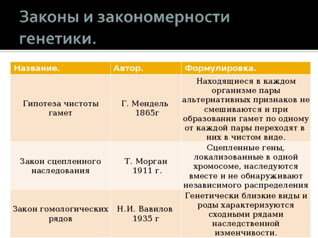 Название. Автор. Гипотеза чистоты гамет Формулировка. Г. Мендель  1865г Закон сцепленного наследования Т. Морган  1911 г. Находящиеся в каждом организме пары альтернативных признаков не смешиваются и при образовании гамет по одному от каждой пары переходят в них в чистом виде. Закон гомологических рядов Сцепленные гены, локализованные в одной хромосоме, наследуются вместе и не обнаруживают независимого распределения Н.И. Вавилов  1935 г Генетически близкие виды и роды характеризуются сходными рядами наследственной изменчивости. 
