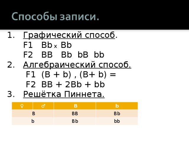 1. Графический способ .  F1 B b  х B b  F2 BB B b  b B bb 2. Алгебраический способ.  F1 (B + b) , (B+ b) =  F2 BB + 2Bb + bb 3.  Решётка Пиннета.  ♀  ♂  B  B b b BB B b B b bb 