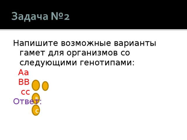 Напишите возможные варианты гамет для организмов со следующими генотипами:  A a  BB  cc Ответ: A   a B c 