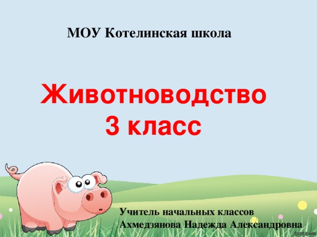 МОУ Котелинская школа Животноводство  3 класс Учитель начальных классов Ахмедзянова Надежда Александровна 