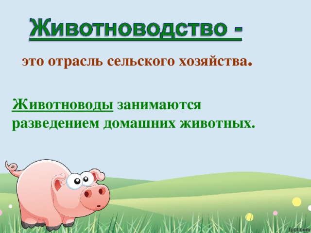  это отрасль сельского хозяйства . Животноводы занимаются разведением домашних животных. 