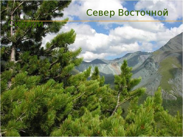   Север Восточной Сибири 