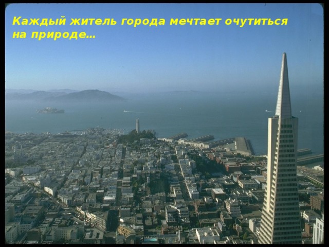 Каждый житель города мечтает очутиться на природе… 