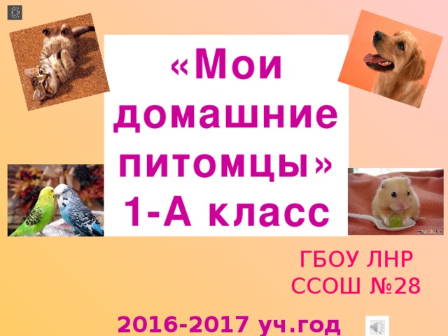 «Мои домашние питомцы» 1-А класс ГБОУ ЛНР ССОШ №28 2016-2017 уч.год 