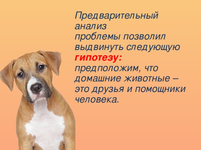 Предварительный анализ проблемы позволил выдвинуть следующую гипотезу: предположим, что домашние животные – это друзья и помощники человека. 