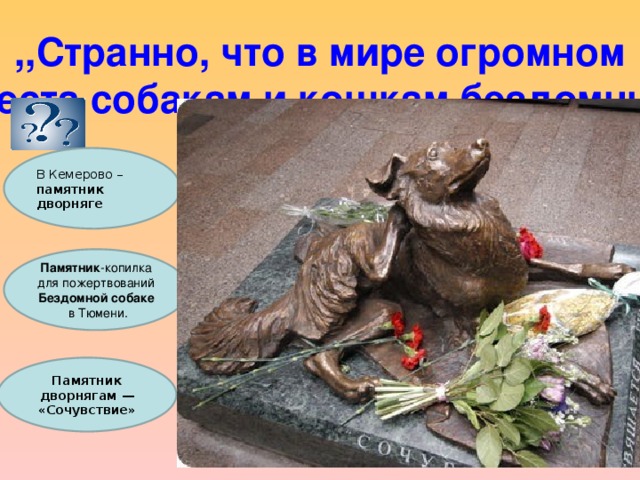 ,,Странно, что в мире огромном нет места собакам и кошкам бездомным….