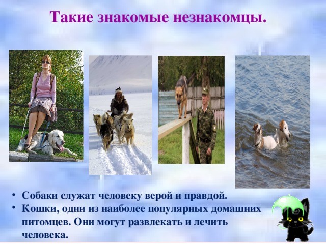 Такие знакомые незнакомцы. Собаки служат человеку верой и правдой. Кошки, одни из наиболее популярных домашних питомцев. Они могут развлекать и лечить человека. 