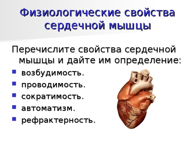 Физиологические свойства сердечной мышцы Перечислите свойства сердечной мышцы и дайте им определение:  возбудимость.  проводимость.  сократимость.  автоматизм.  рефрактерность. 