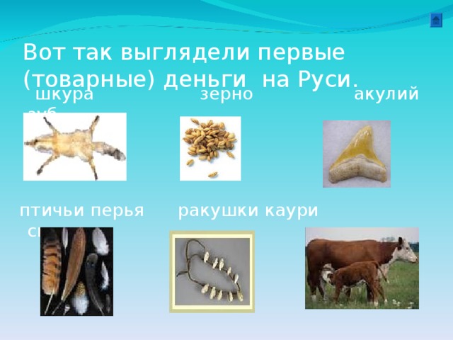 Вот так выглядели первые (товарные) деньги на Руси.   шкура зерно акулий зуб    птичьи перья ракушки каури скот