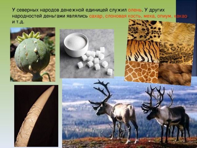 У северных народов денежной единицей служил олень . У других народностей деньгами являлись сахар, слоновая кость, меха, опиум, какао , и т.д.