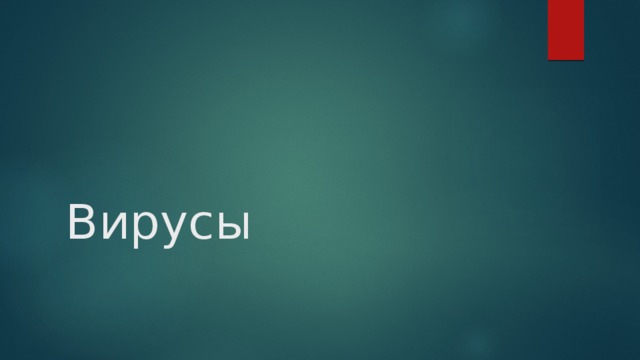 Вирусы 