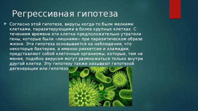 Регрессивная гипотеза    Согласно этой гипотезе, вирусы когда-то были мелкими клетками, паразитирующими в более крупных клетках. С течением времени эти клетки предположительно утратили гены, которые были «лишними» при паразитическом образе жизни. Эта гипотеза основывается на наблюдении, что некоторые бактерии, а именно риккетсии и хламидии, представляют собой клеточные организмы, которые, тем не менее, подобно вирусам могут размножаться только внутри другой клетки. Эту гипотезу также называют гипотезой дегенерации или гипотезой редукции. 