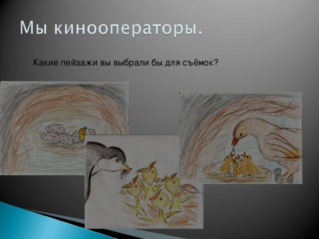 Какие пейзажи вы выбрали бы для съёмок? 