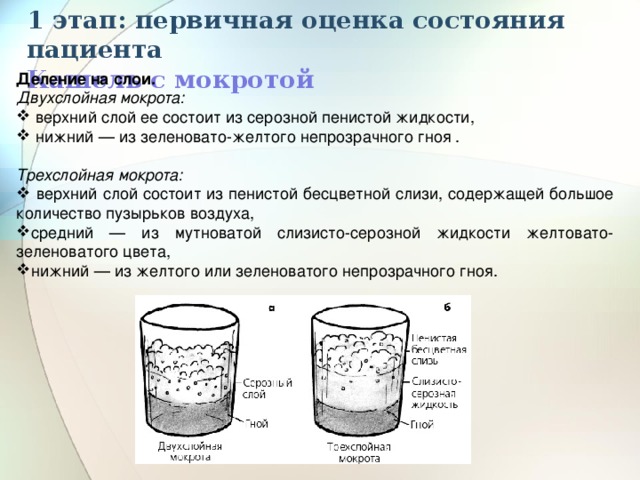 1 этап: первичная оценка состояния пациента  Кашель с мокротой Деление на слои.   Двухслойная мокрота:  верхний слой ее состоит из серозной пенистой жидкости,  нижний — из зеленовато-желтого непрозрачного гноя .  Трехслойная мокрота:  верхний слой состоит из пенистой бесцветной слизи, содержащей большое количество пузырьков воздуха, средний — из мутноватой слизисто-серозной жидкости желтовато-зеленоватого цвета, нижний — из желтого или зеленоватого непрозрачного гноя. 