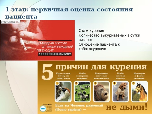 1 этап: первичная оценка состояния пациента  Курение Стаж курения Количество выкуриваемых в сутки сигарет Отношение пациента к табакокурению 