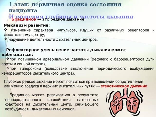 1 этап: первичная оценка состояния пациента  Изменения глубины и частоты дыхания Брадипноэ  — это редкое дыхание. Механизм развития:  изменение характера импульсов, идущих от различных рецепторов к дыхательному центру,  нарушение деятельности дыхательных центров. Рефлекторное уменьшение частоты дыхания может наблюдаться: при повышенном артериальном давлении (рефлекс с барорецепторов дуги аорты и сонной пазухи), при гипероксии (вследствие выключения периодического возбуждения хеморецепторов дыхательного центра). Глубокое редкое дыхание может появиться при повышении сопротивления движению воздуха в верхних дыхательных путях —  стенотическое дыхание . Брадипноэ может развиваться в результате непосредственного воздействия патогенных факторов на дыхательный центр, снижающего возбудимость дыхательных нейронов. 