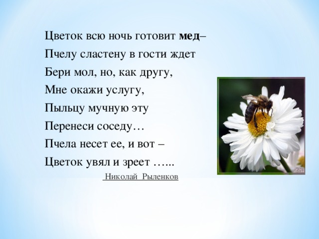 Цветок всю ночь готовит мед – Пчелу сластену в гости ждет Бери мол, но, как другу, Мне окажи услугу, Пыльцу мучную эту Перенеси соседу… Пчела несет ее, и вот – Цветок увял и зреет …...   Николай Рыленков 