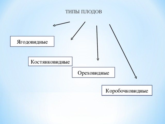  ТИПЫ ПЛОДОВ Ягодовидные Костянковидные Ореховидные Коробочковидные 