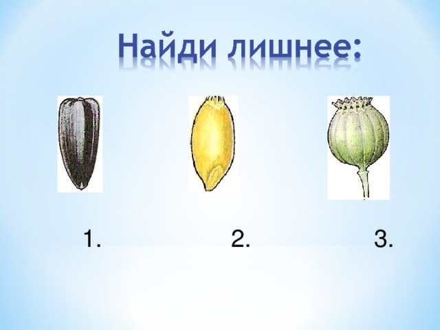  1. 2. 3. 