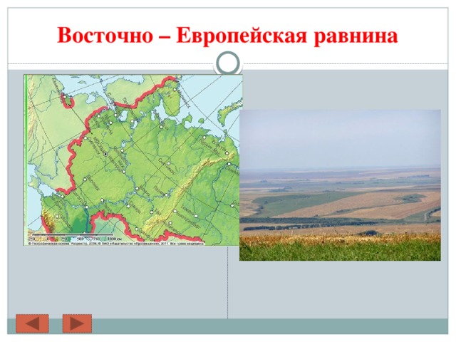 Восточно – Европейская равнина 
