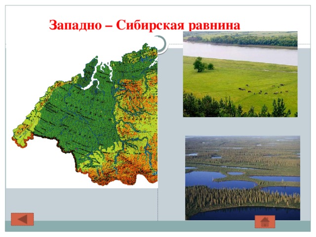 Западно – Сибирская равнина 