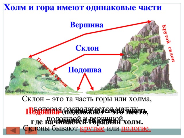 Холм и гора имеют одинаковые части Пологий склон Крутой склон Вершина Склон Подошва Склон – это та часть горы или холма, которая располагается между подошвой и вершиной. Склоны бывают крутые или пологие. Вершина – самая высокая часть холма или горы. Подошва (подножие) – это место, где начинается гора или холм. 