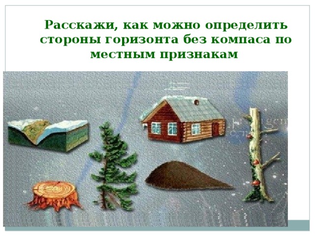 Расскажи, как можно определить стороны горизонта без компаса по местным признакам  