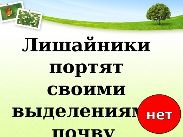 Лишайники портят своими выделениями почву   