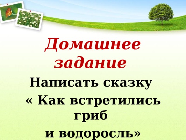 Домашнее задание Написать сказку « Как встретились гриб и водоросль»   