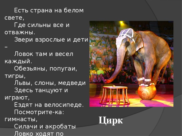   Есть страна на белом свете,       Где сильны все и отважны.       Звери взрослые и дети –       Ловок там и весел каждый.       Обезьяны, попугаи, тигры,       Львы, слоны, медведи       Здесь танцуют и играют,       Ездят на велосипеде.       Посмотрите-ка: гимнасты,       Силачи и акробаты       Ловко ходят по канату, -       Тут артист и клоун каждый.   - Что за эта страна?    Цирк 