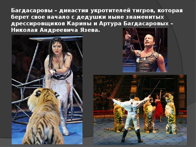 Багдасаровы – династия укротителей тигров, которая берет свое начало с дедушки ныне знаменитых дрессировщиков Карины и Артура Багдасаровых – Николая Андреевича Язева. 