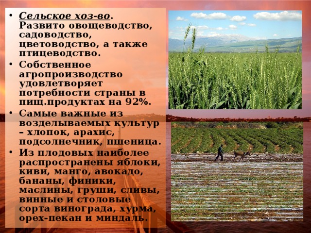 Сельское хоз-во . Развито овощеводство, садоводство, цветоводство, а также птицеводство. Собственное агропроизводство удовлетворяет потребности страны в пищ.продуктах на 92%. Самые важные из возделываемых культур – хлопок, арахис, подсолнечник, пшеница. Из плодовых наиболее распространены яблоки, киви, манго, авокадо, бананы, финики, маслины, груши, сливы, винные и столовые сорта винограда, хурма, орех-пекан и миндаль .   