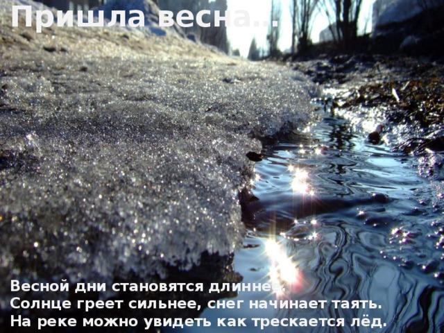 Пришла весна…         Весной дни становятся длиннее.  Солнце греет сильнее, снег начинает таять.  На реке можно увидеть как трескается лёд. 