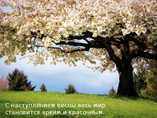 С наступлением весны весь мир становится ярким и красочным. 