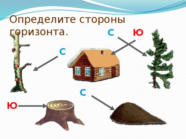 Определите стороны горизонта. Ю С С С Ю 