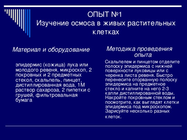 ОПЫТ №1  Изучение осмоса в живых растительных клетках Материал и оборудование  эпидермис (кожица) лука или молодого ревеня, микроскоп, 2 покровных и 2 предметных стекол, скальпель, пинцет, дистиллированная вода, 1М раствор сахароза, 2 пипетки с грушей, фильтровальная бумага Методика проведения опыта  Скальпелем и пинцетом отделите полоску эпидермиса с нижней поверхности луковицы или с черенка листа ревеня. Быстро перенесите оторванную полоску эпидермиса на предметное стекло и капните на него 2-3 капли дистиллированной воды. Накройте покровным стеклом и посмотрите, как выглядят клетки эпидермиса под микроскопом. Зарисуйте несколько разных клеток.  